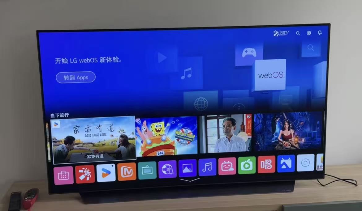 LG 55CXPCA电视