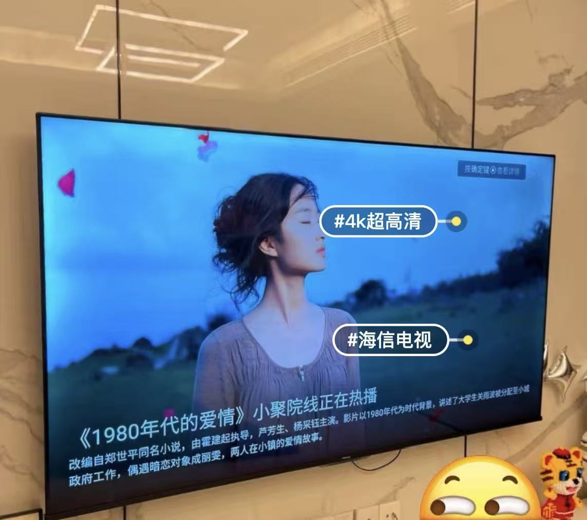 新海信65寸大屏电视